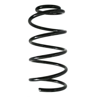Ressort de suspension SPIDAN 85884