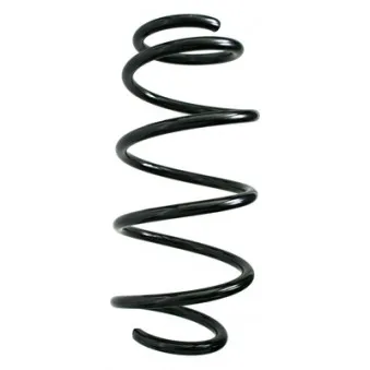Ressort de suspension SPIDAN 85905