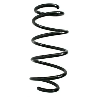 Ressort de suspension SPIDAN 85906