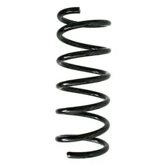 Ressort de suspension SPIDAN 85908