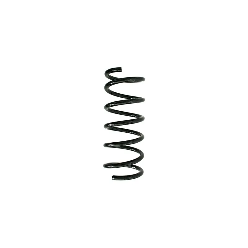 Ressort de suspension SPIDAN 85908