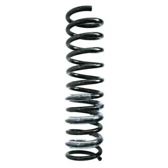 Ressort de suspension SPIDAN 85914