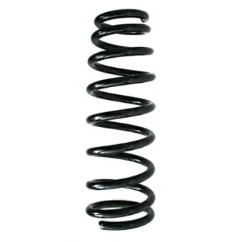 Ressort de suspension SPIDAN 85932