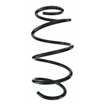 Ressort de suspension SPIDAN 85933