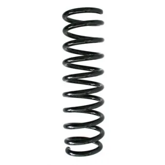 Ressort de suspension SPIDAN 85938