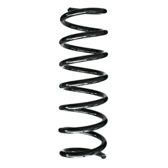 Ressort de suspension SPIDAN 85944