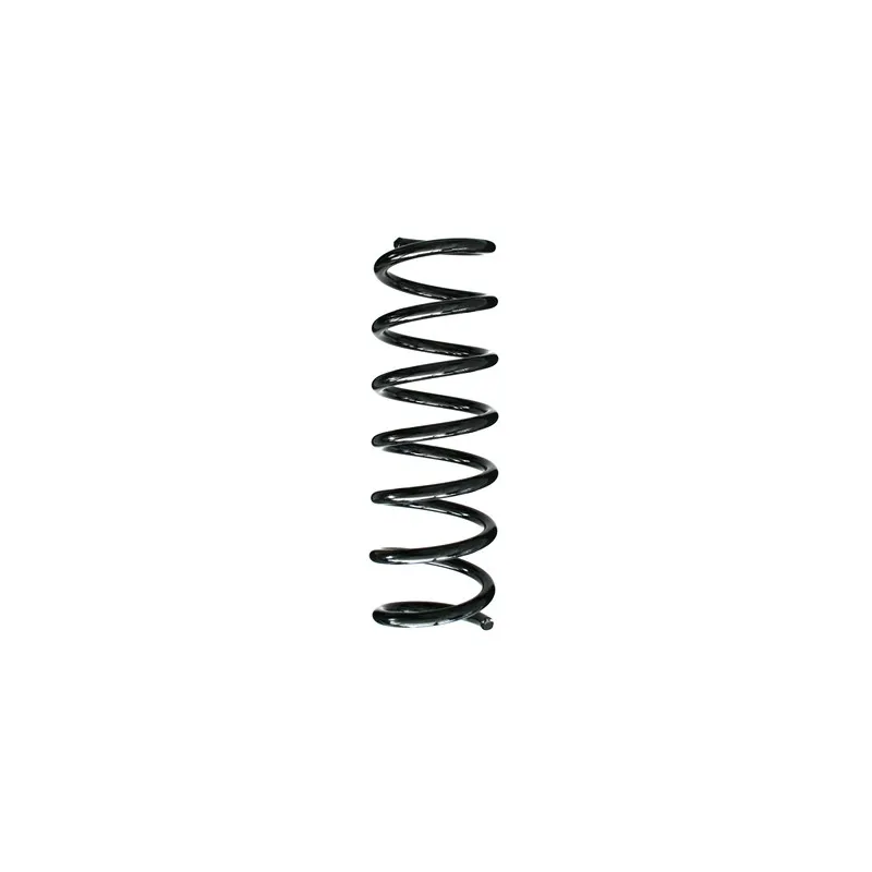 Ressort de suspension SPIDAN 85944