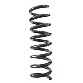 Ressort de suspension SPIDAN 85948