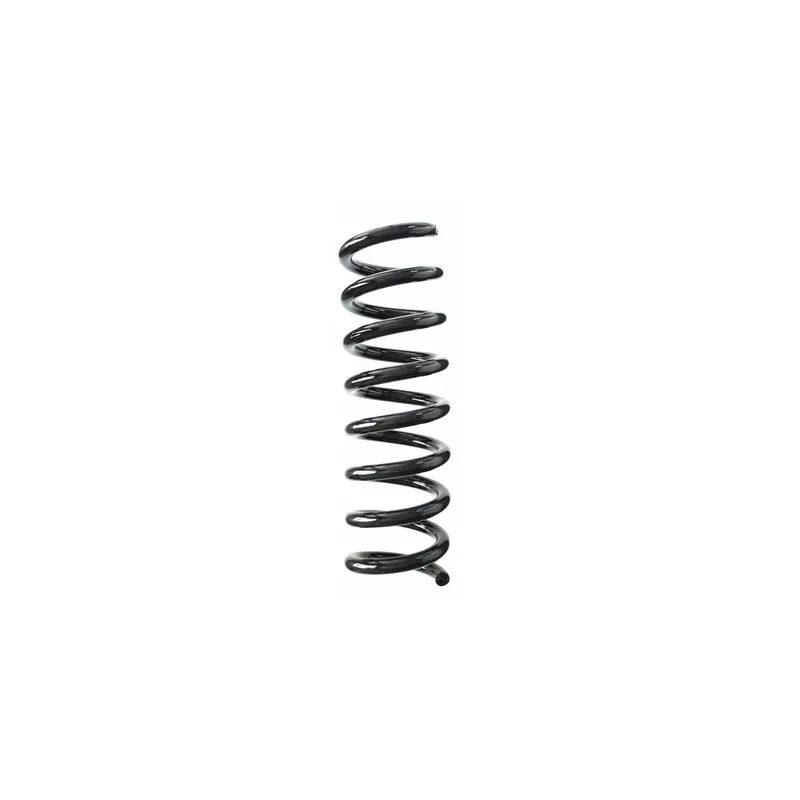 Ressort de suspension SPIDAN 85948