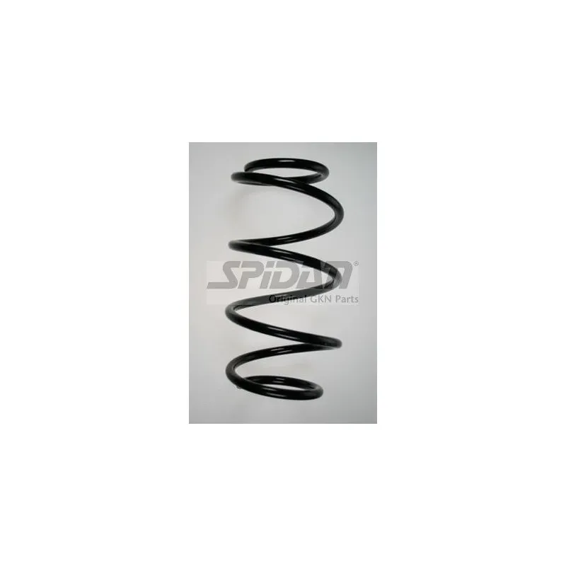 Ressort de suspension SPIDAN 85956