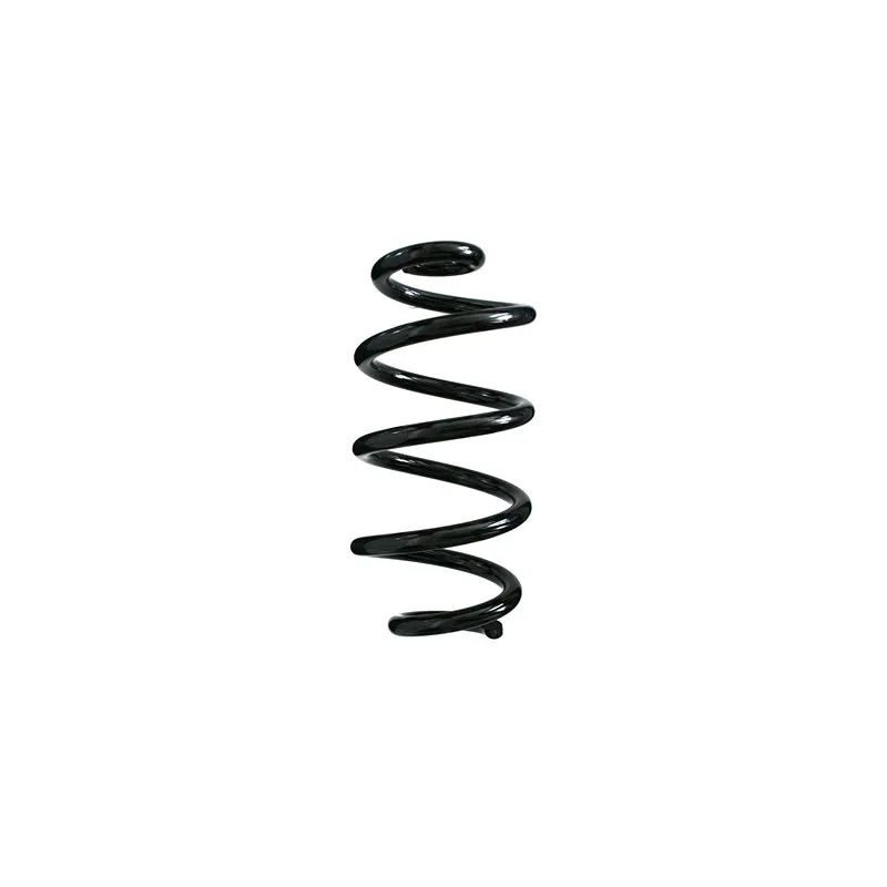 Ressort de suspension SPIDAN 85959