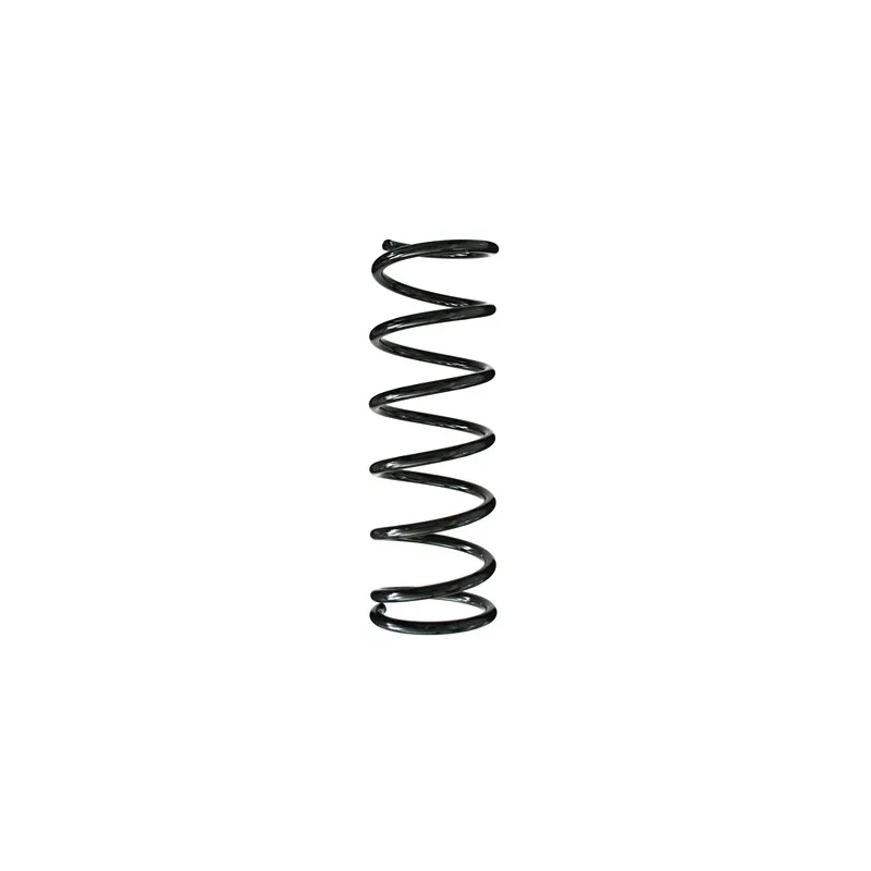 Ressort de suspension SPIDAN 85963