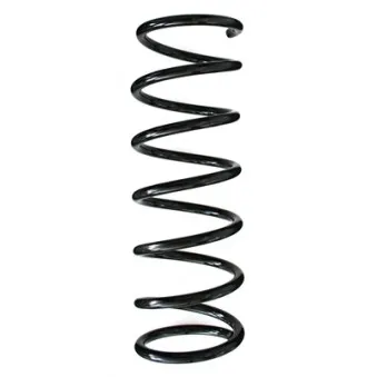 Ressort de suspension SPIDAN 85964