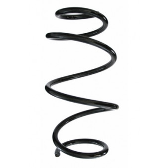 Ressort de suspension SPIDAN 85969