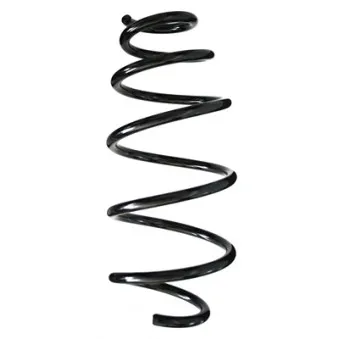 Ressort de suspension SPIDAN 86316