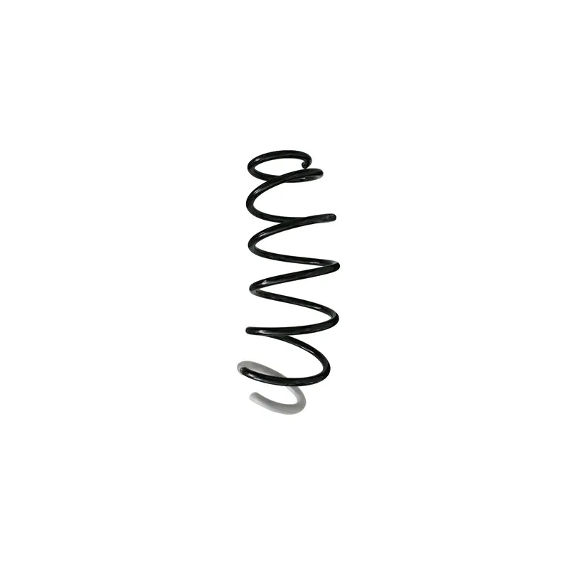 Ressort de suspension SPIDAN 86319