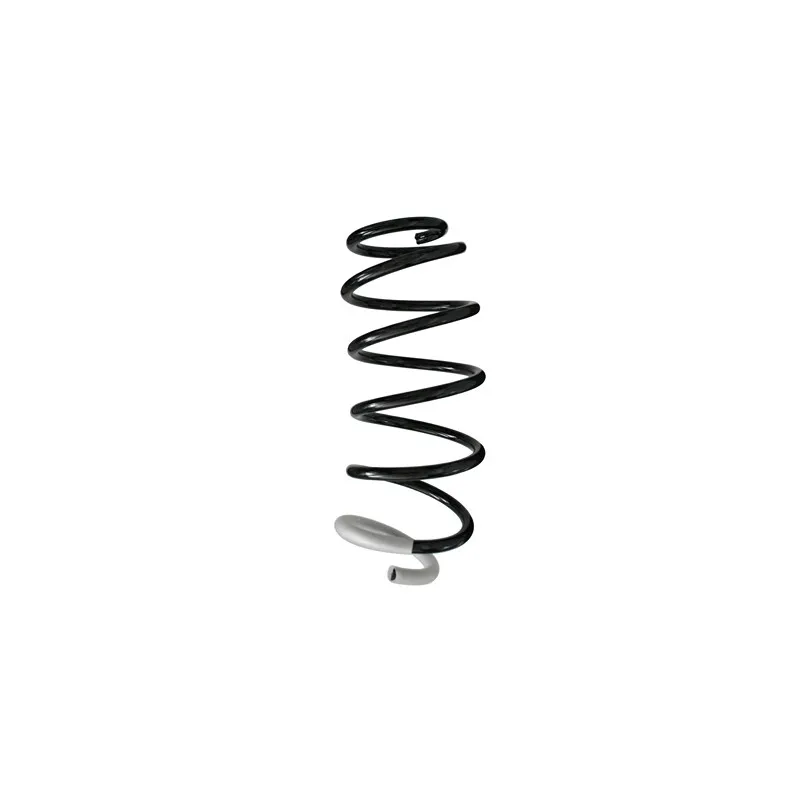 Ressort de suspension SPIDAN 86324