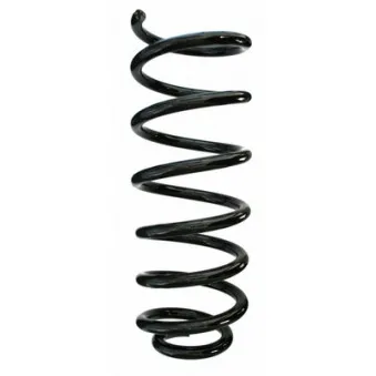 Ressort de suspension SPIDAN 86338
