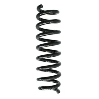 Ressort de suspension SPIDAN 86371