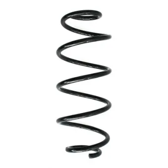 Ressort de suspension SPIDAN 86380