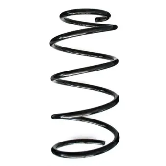 Ressort de suspension SPIDAN 86389