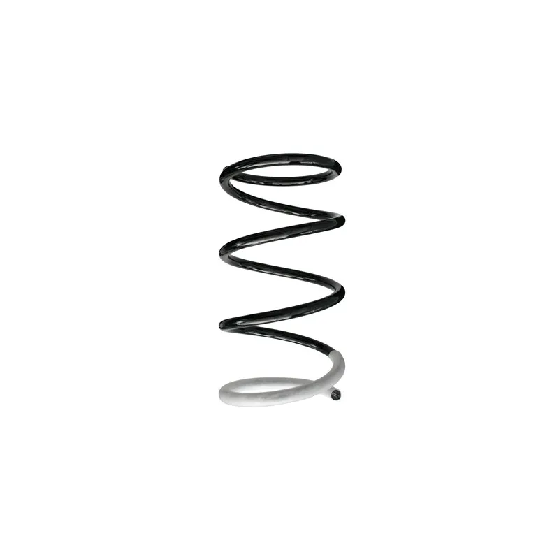 Ressort de suspension SPIDAN 86395