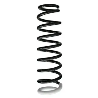 Ressort de suspension SPIDAN 86396