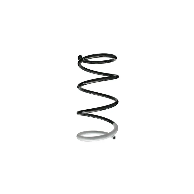 Ressort de suspension SPIDAN 86400