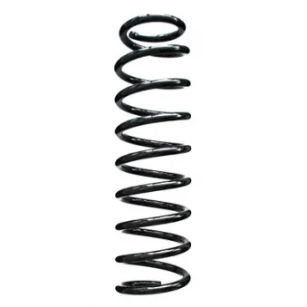 Ressort de suspension SPIDAN 86405