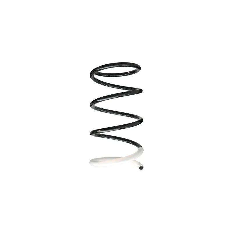 Ressort de suspension SPIDAN 86406