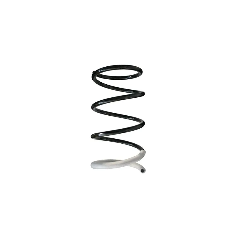 Ressort de suspension SPIDAN 86407