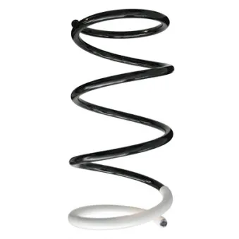 Ressort de suspension SPIDAN 86409