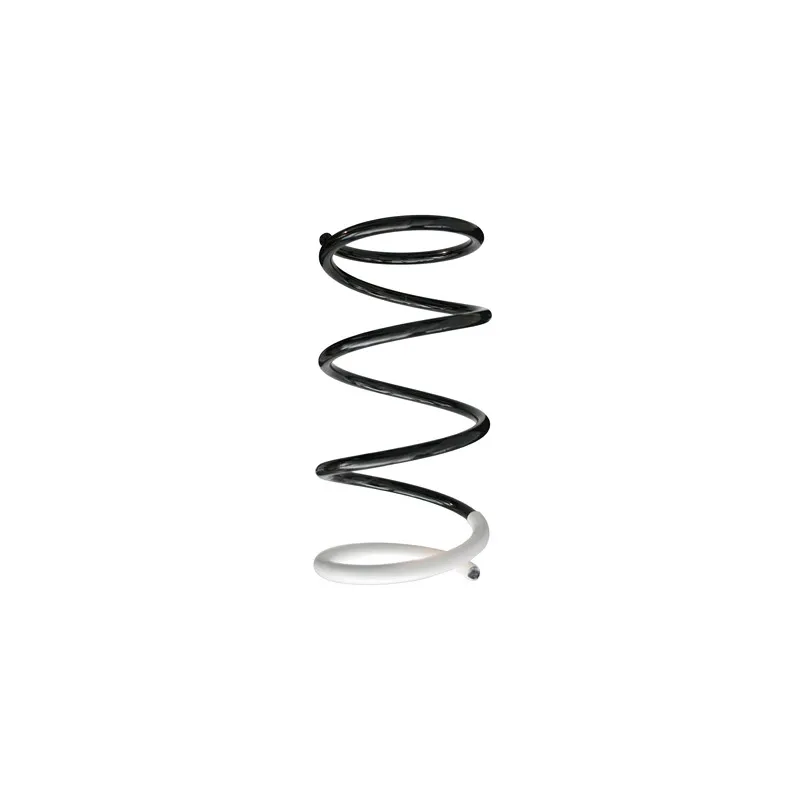 Ressort de suspension SPIDAN 86409
