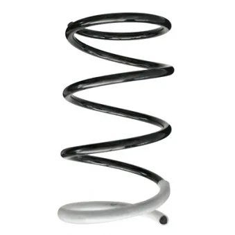 Ressort de suspension SPIDAN 86410
