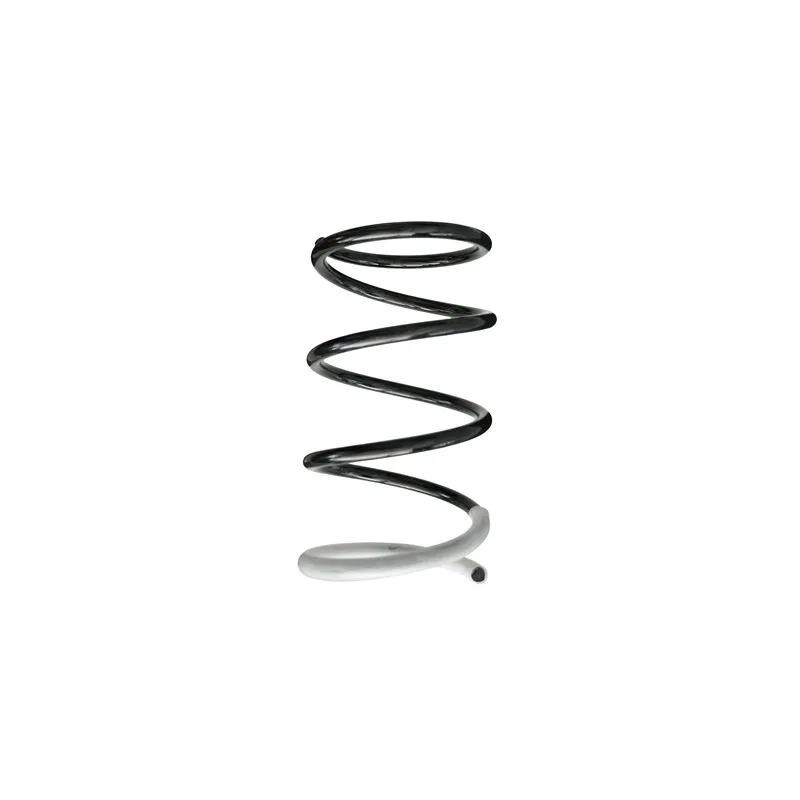 Ressort de suspension SPIDAN 86410