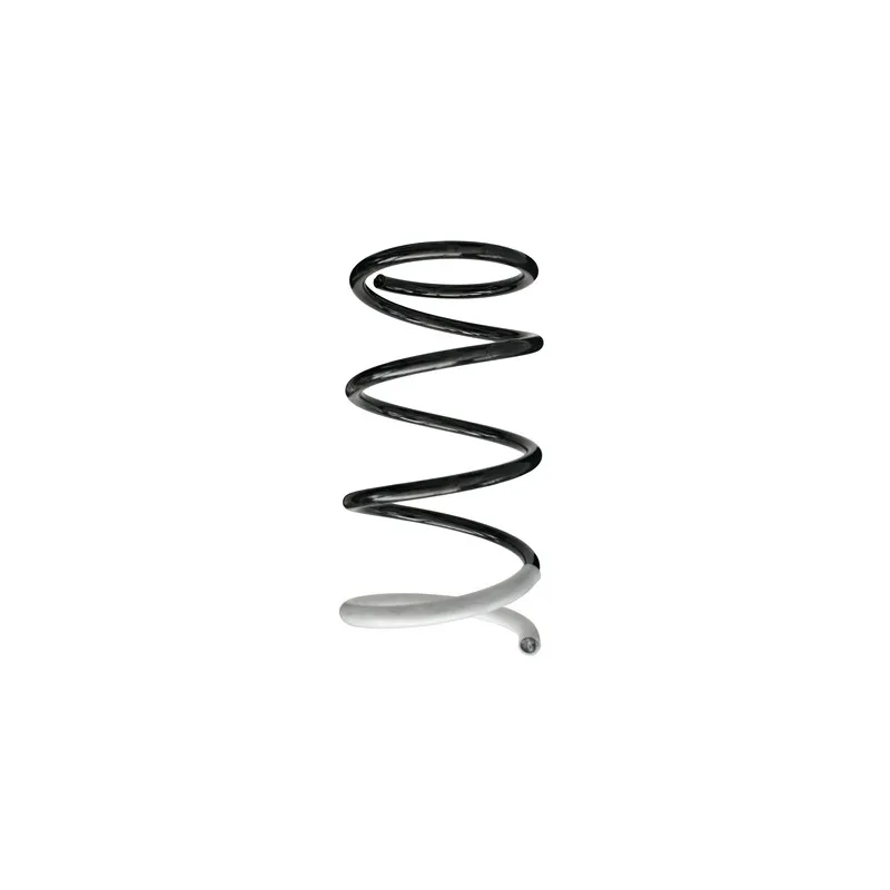 Ressort de suspension SPIDAN 86411