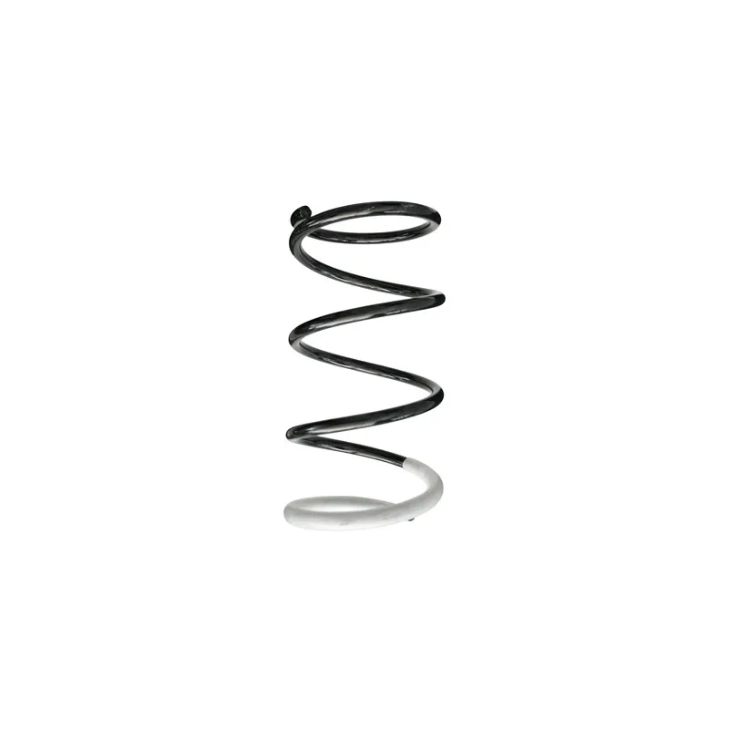 Ressort de suspension SPIDAN 86414