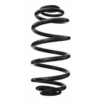 Ressort de suspension SPIDAN 86441