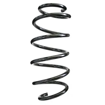 Ressort de suspension SPIDAN 86456