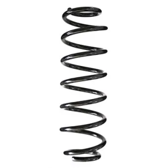 Ressort de suspension SPIDAN 86480