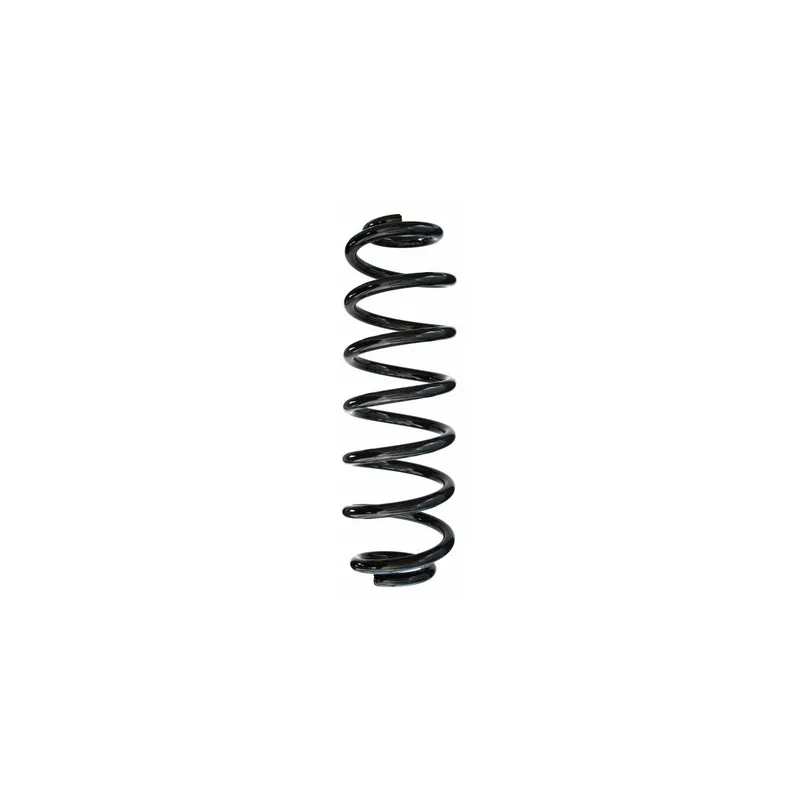 Ressort de suspension SPIDAN 86491