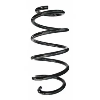 Ressort de suspension SPIDAN 86497