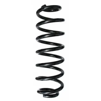 Ressort de suspension SPIDAN 86499