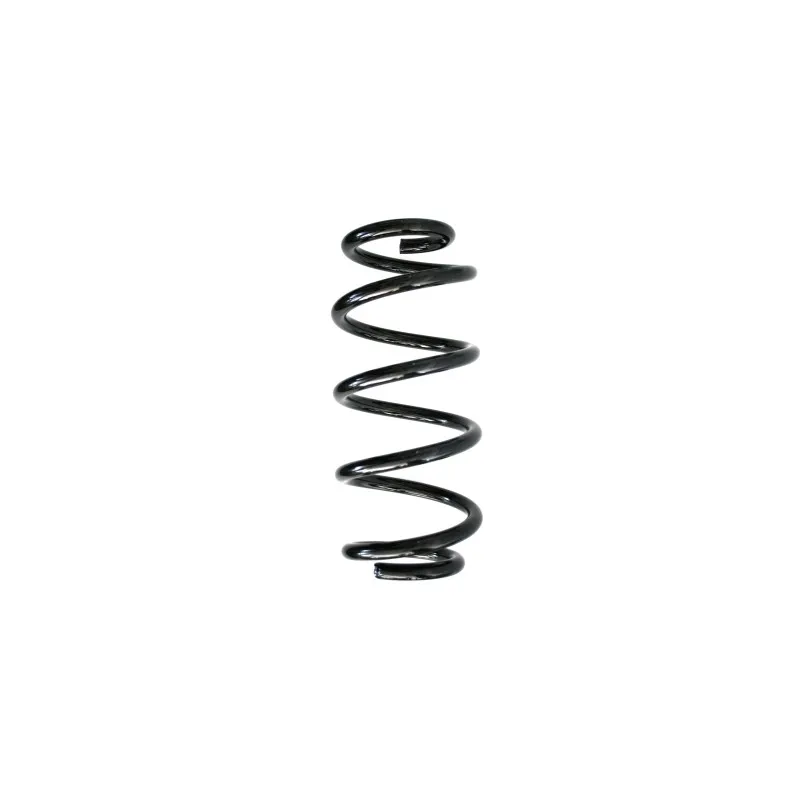 Ressort de suspension SPIDAN 86520