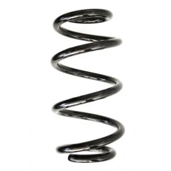 Ressort de suspension SPIDAN 86527