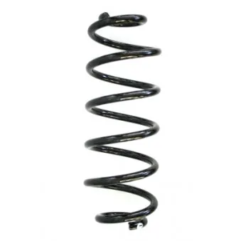 Ressort de suspension SPIDAN 86538