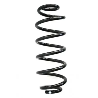 Ressort de suspension SPIDAN 86539