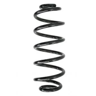 Ressort de suspension SPIDAN 86541