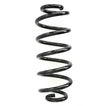 Ressort de suspension SPIDAN 86542