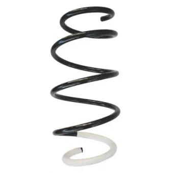Ressort de suspension SPIDAN 86570
